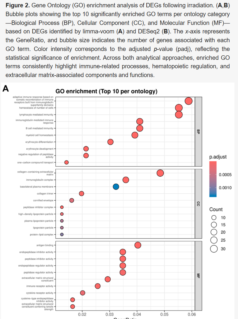 ATG5 Bulk RNAseq与scRNA seq Methods描述写作参考 2026 06 23 60b7841e ec8d 4667 83c0 400f7a7ac717