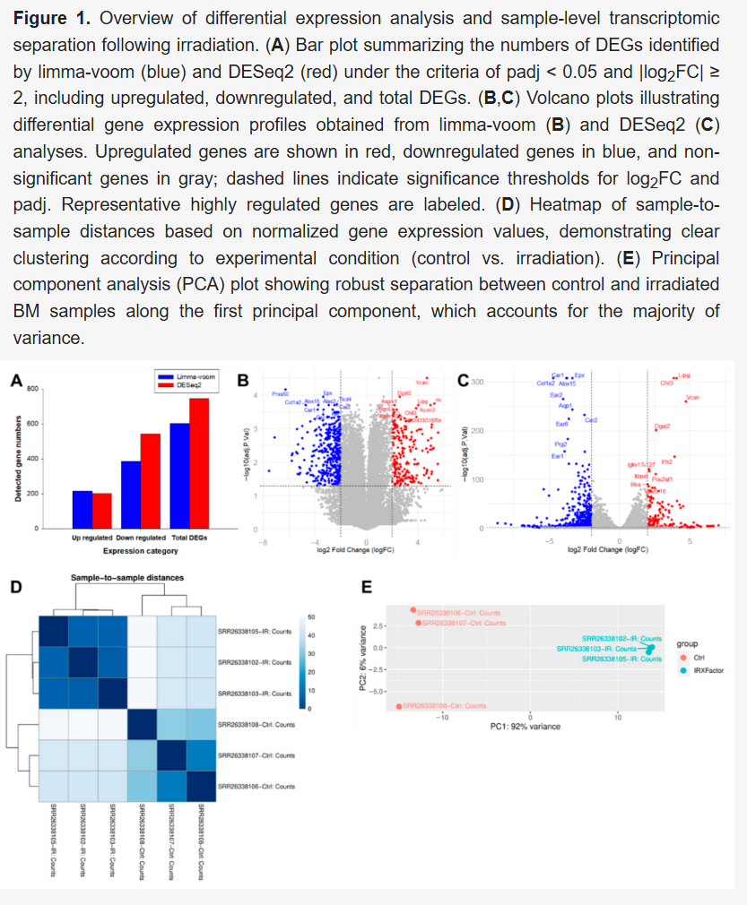 ATG5 Bulk RNAseq与scRNA seq Methods描述写作参考 2026 06 23 eac869cb 63a7 42b7 a989 44df13127ec0